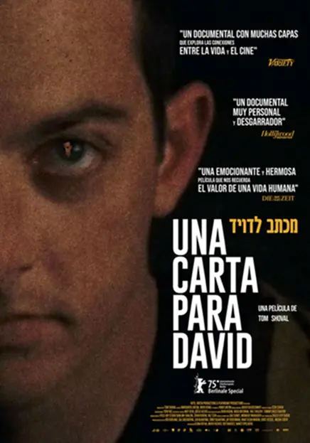 Una-Carta-para-David_Afiche-digital