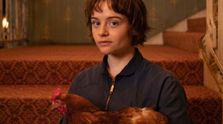 frankyfivestarlumiere900x500